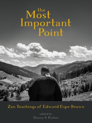 cover image of The Most Important Point